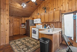 Fridge, microwave, oven, stovetop - Downtown Ludington, minutes from the beach (Ludington)
