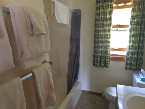 A bathroom with a shower, toilet, and sink. There are towels hanging on a rack. - Lake Superior Log Cabin - Wave Watching Delight! (Lutsen)
