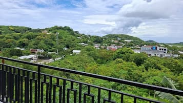 City view from property