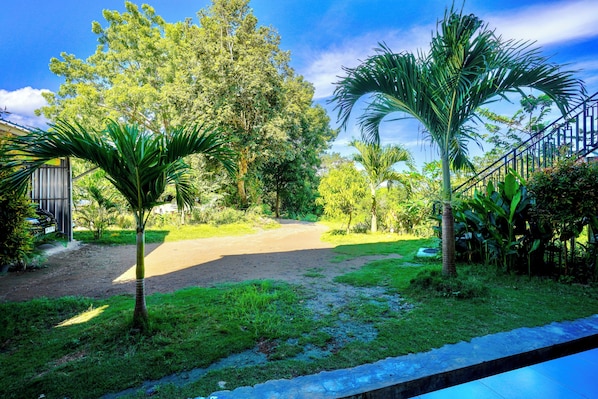 A garden with palm trees, a dirt path, and a metal fence. - Golo Tango Homestay (Labuan Bajo)