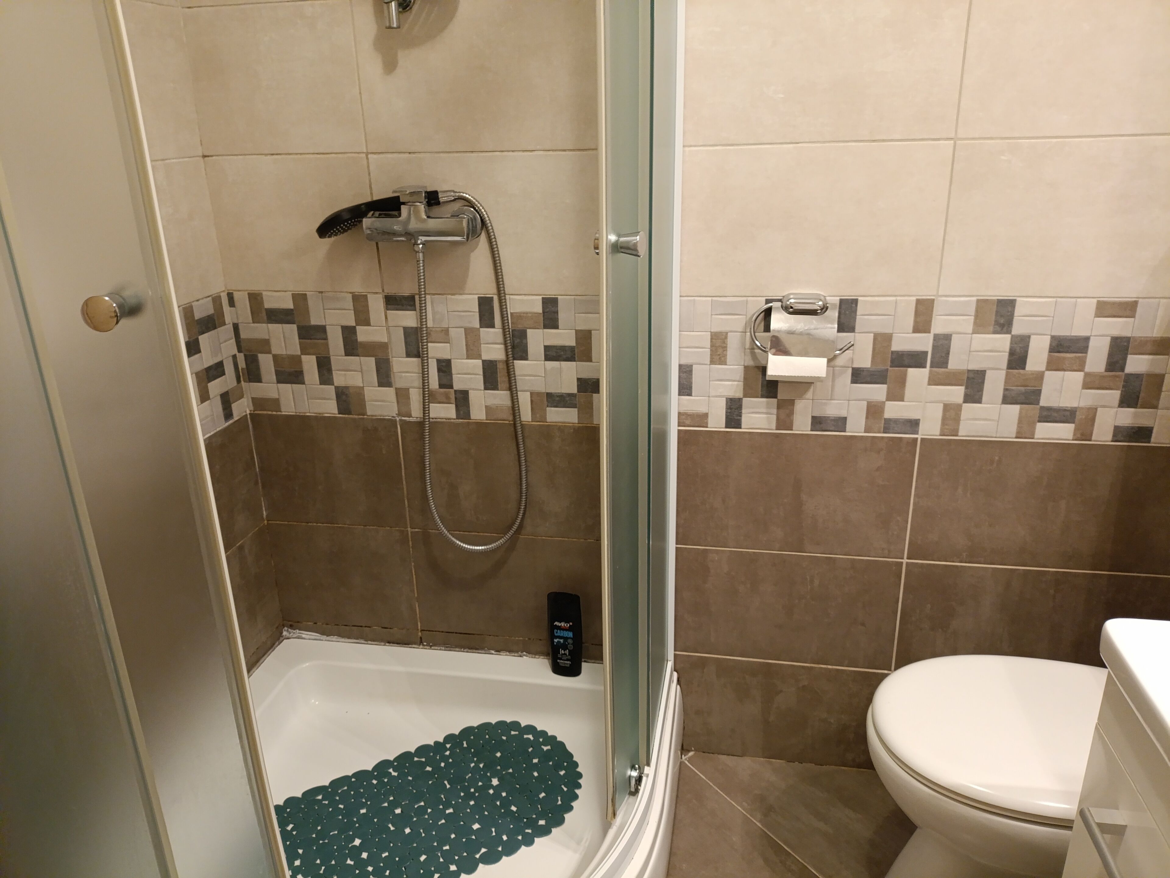 Hair dryer, towels, soap, toilet paper