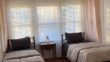 Fer et planche à repasser, Wi-Fi, literie fournie