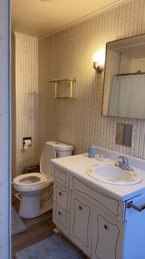 Asciugamani, sapone, carta igienica