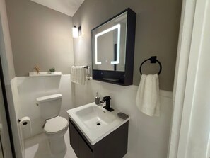 Chuveiro, secador de cabelo, toalhas de banho, shampoo