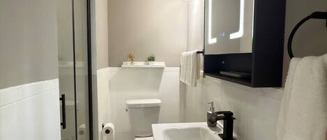 Shower, hair dryer, towels, shampoo