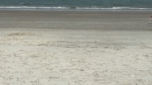 A beach with a sandy shore and ocean waves. - Marriott Surfwatch - OCEANFRONT (Hilton Head Island)