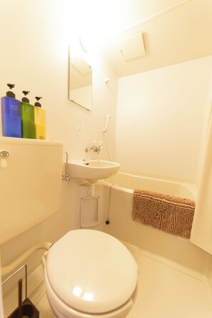 Hair dryer, towels, soap, toilet paper