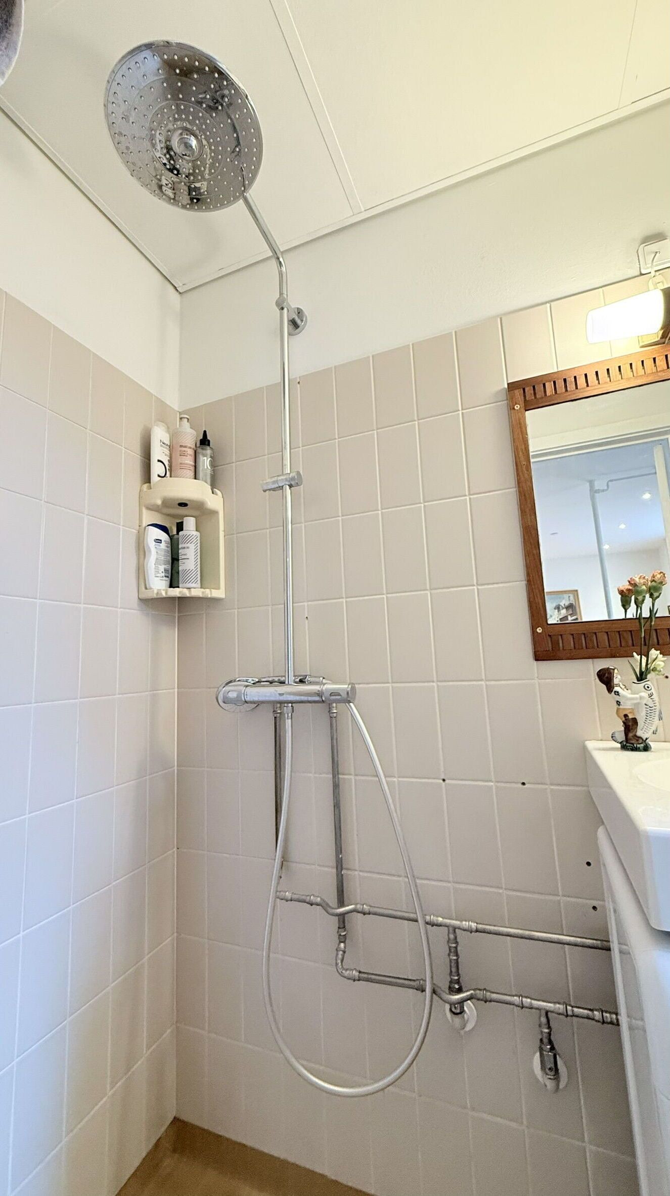 Shower, hair dryer