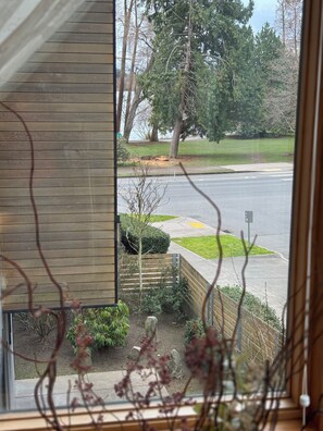 Imagem sem classificação, 2 de 43, botão