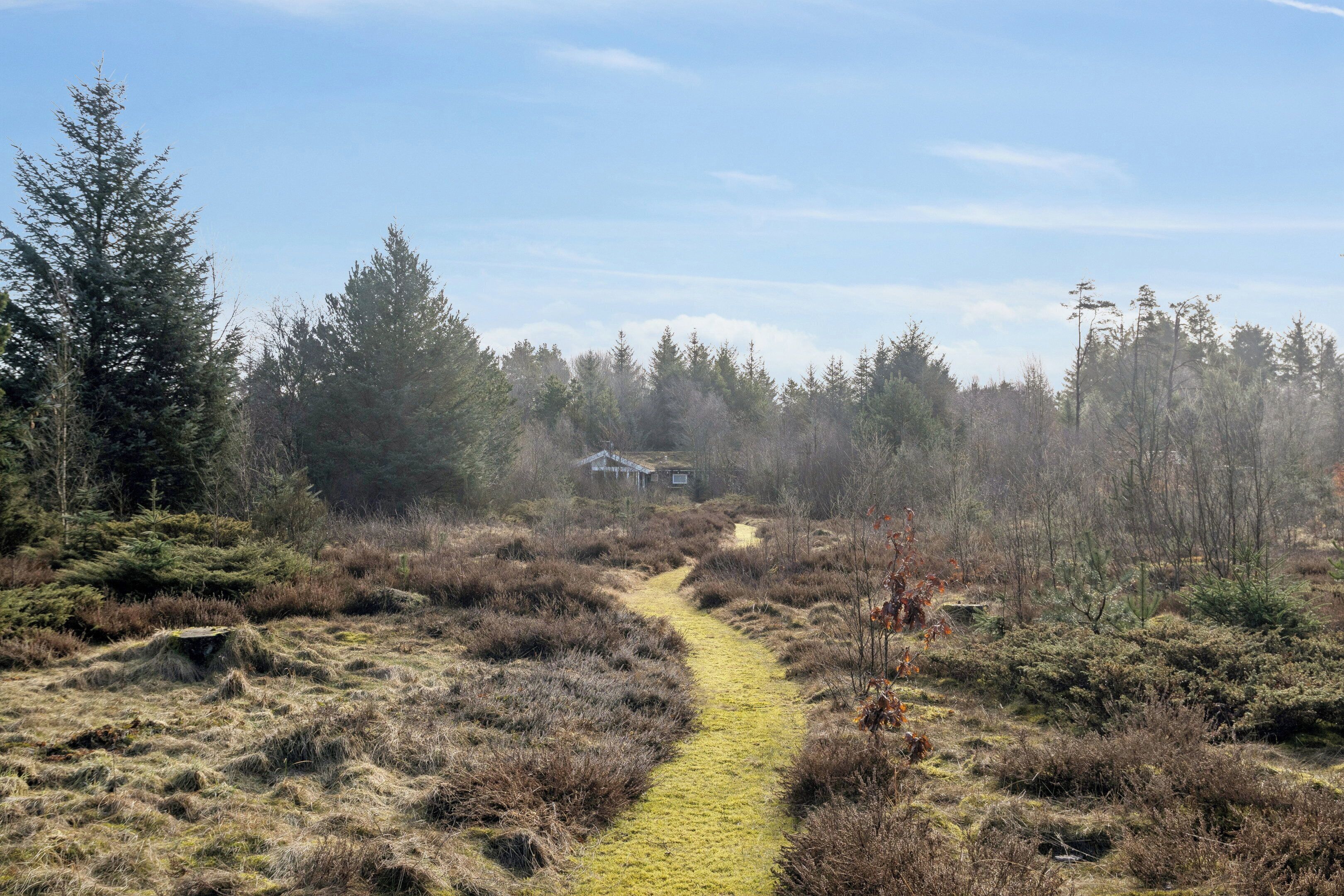 Ein bewaldetes Gebiet mit einem Feldweg, der zu einem kleinen Gebäude führt.