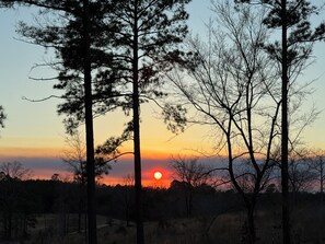 Imagen sin descripción, 4 de 7, botón