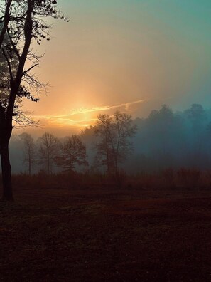 Imagen sin descripción, 5 de 7, botón