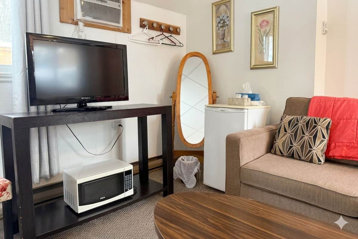 A living room with a TV, microwave, and a sofa with a patterned pillow.