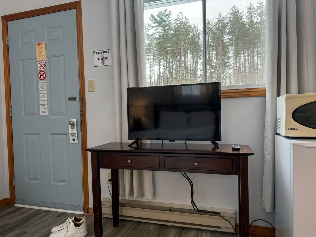 Una habitación con una televisión sobre un escritorio de madera, una puerta con el letrero 'No Smoking' y una ventana que ofrece vistas a un bosque.