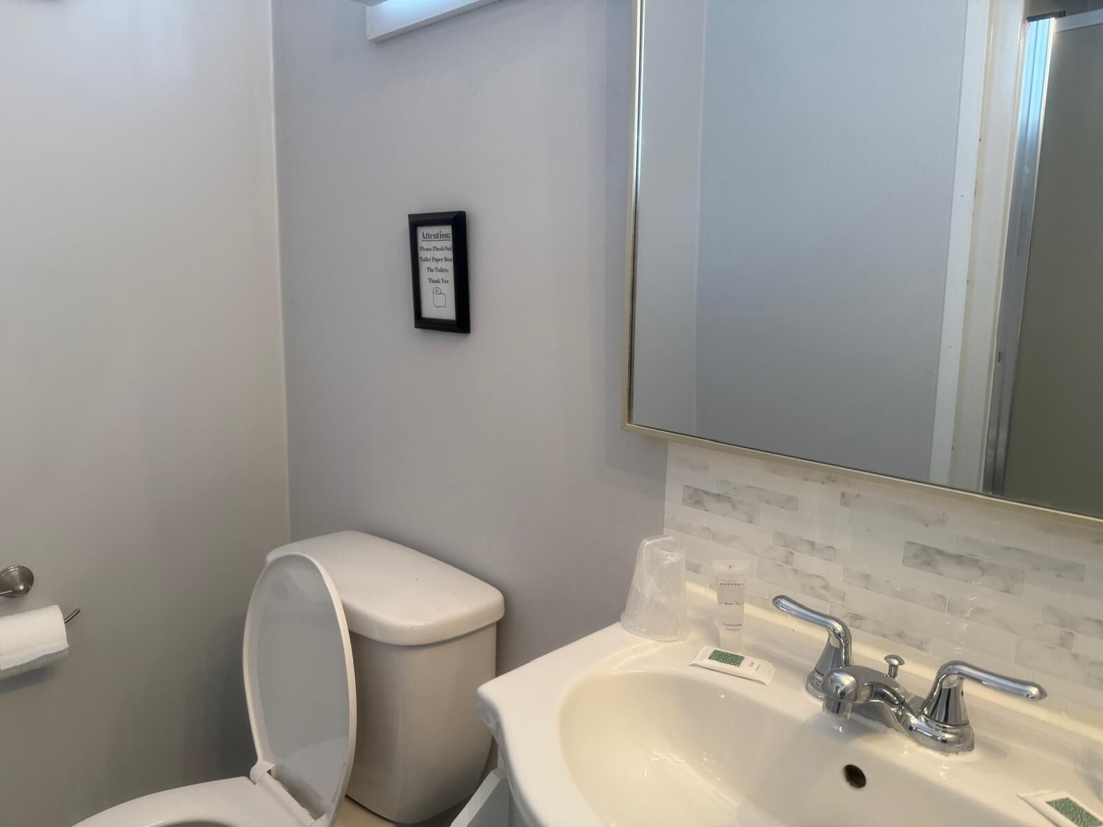 A bathroom with a toilet, sink, and mirror.