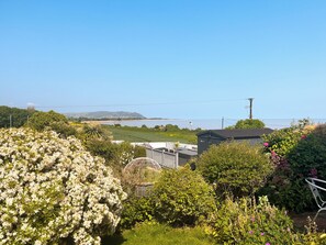 Property grounds - Pebbles Reach - 29565 (Blue Anchor, near Minehead)
