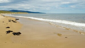 A beach with sand, seaweed, and waves. - Links Apartment 8 - 29971 (Brora)
