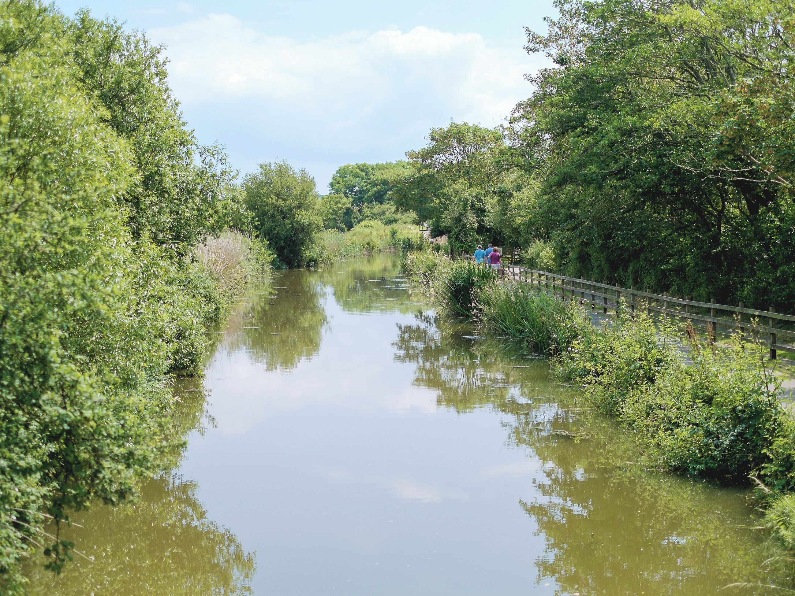 A calm river with dense greenery on both sides and a wooden bridge in the distance.