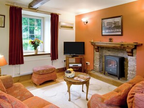TV - 2 bedroom accommodation in Plas Cilybebyll, near Pontardawe (Plas Cilybebyll, near Pontardawe)