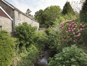 Property grounds - 2 bedroom accommodation in Plas Cilybebyll, near Pontardawe (Plas Cilybebyll, near Pontardawe)