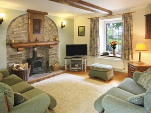 TV, fireplace - 2 bedroom accommodation in Plas Cilybebyll, near Pontardawe (Plas Cilybebyll, near Pontardawe)