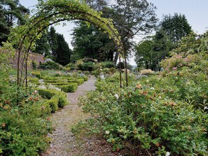 A garden pathway with a pergola arching over it, surrounded by various plants and flowers. - 4 bedroom accommodation in Palnackie, Castle Douglas (Palnackie, Castle Douglas)