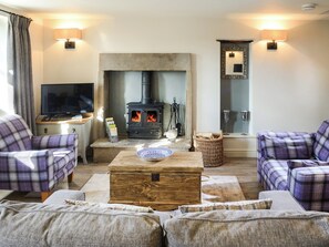 TV, fireplace - Mill House Cottage - UK1475 (Middleton, near Kirkby Lonsdale)