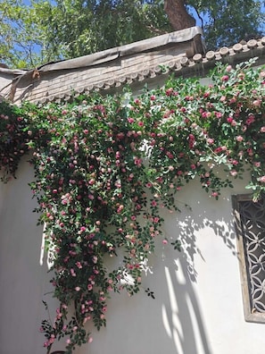 Courtyard - Youfang Hotel - Beijing Tian'anmen Wangfujing Store (Beijing)