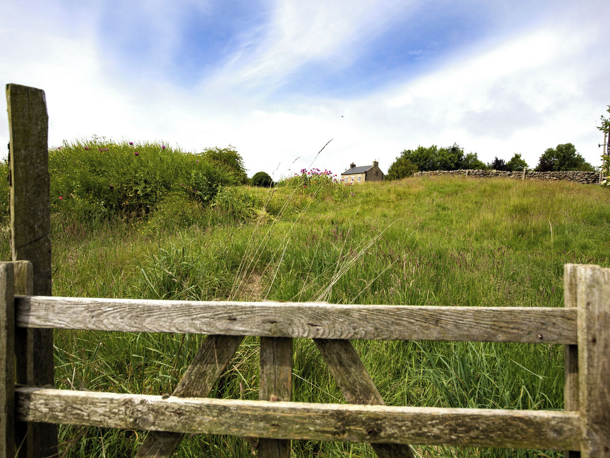 Un paysage rural avec un mur de pierres, une clôture en bois et une maison en arrière-plan.