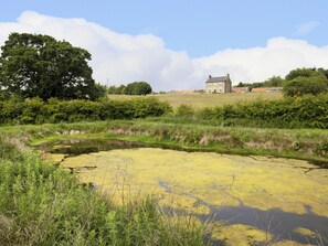 A rural landscape with a pond, greenery, and a building in the distance. - 2 bedroom accommodation in Harwood Dale, near Scarborough (Harwood Dale, near Scarborough)