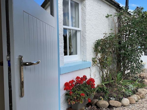A white door with a silver handle, a window with white trim, and a planter with red flowers.