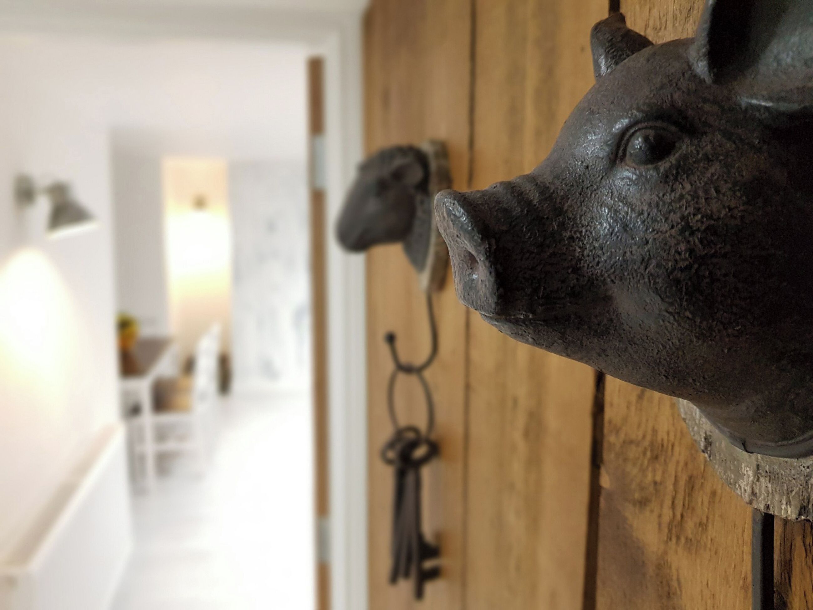A rustic interior with a pig head mounted on a wooden door, a hanging key, and a blurred background suggesting a cozy, homey atmosphere.