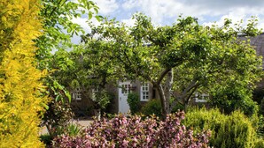 A garden with flowering shrubs and trees, a stone wall, and a building with a white door and windows. - 3 bedroom accommodation in Forfar (Forfar)