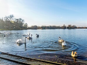 Miscellaneous - 1 bedroom accommodation in Thorpness, near Saxmundham (Thorpness, near Saxmundham)