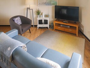 TV - 1 bedroom accommodation in Pelynt, near Looe (Pelynt, near Looe)