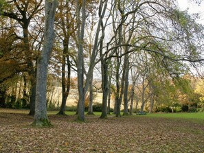 A park with trees and a grassy area. - 2 bedroom accommodation in Shanklin (Shanklin)