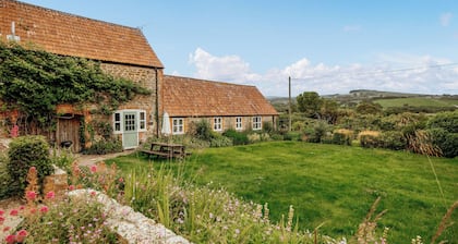 Carters Cottage - UKC3947