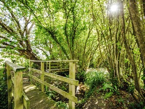 Property grounds - Shepherd's Cottage - UKC3954 (Chilcombe, near Bridport)