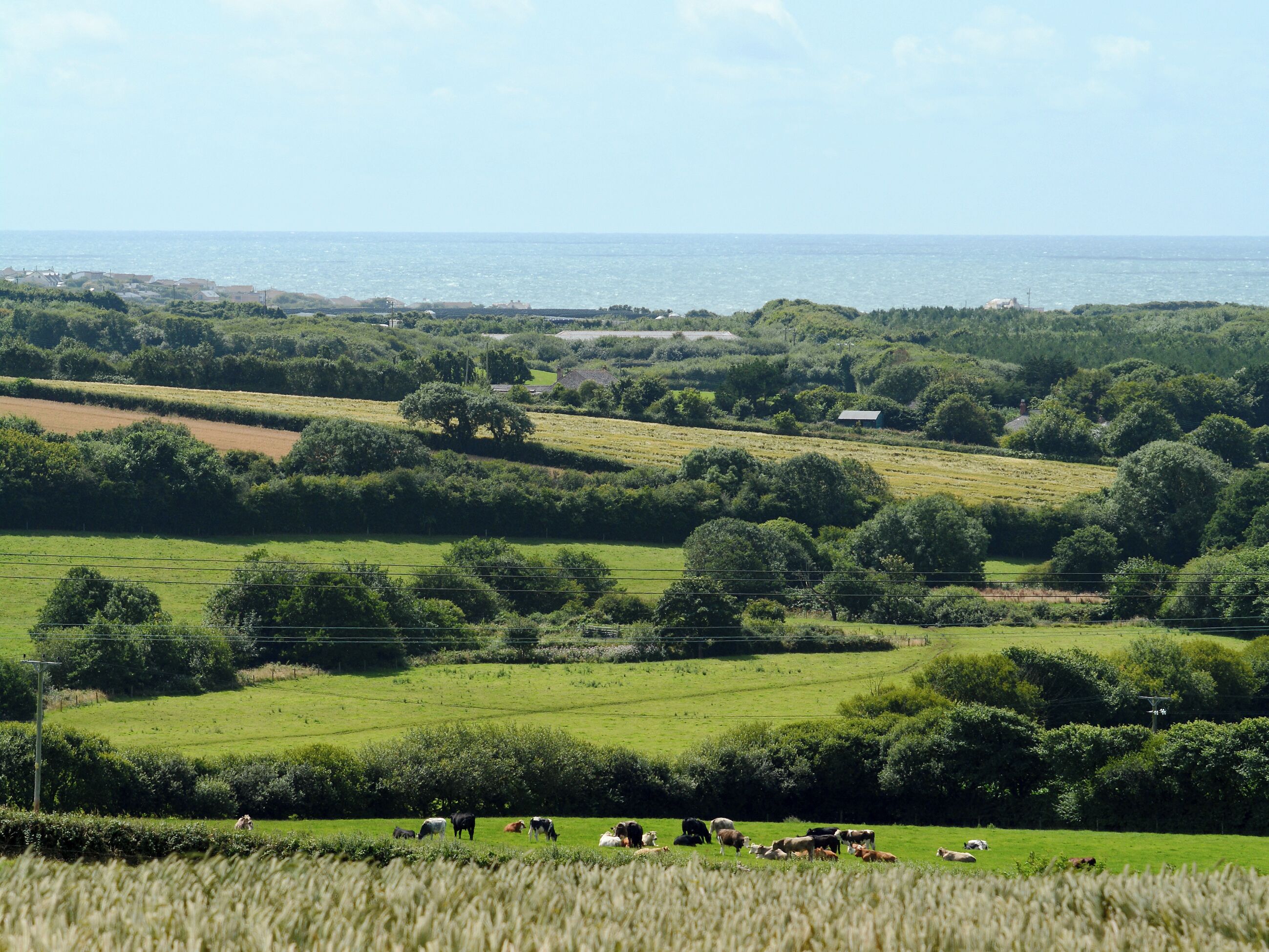Ländliche Landschaft mit Feldern, Bäumen und einem Blick auf das Meer in der Ferne.