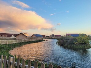 Property grounds - White Swan Cottage - UKC4640 (Dunholme, near Lincoln)