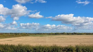 Un campo abierto con cielo despejado y algunas nubes dispersas.