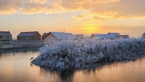 Un tranquilo pueblo a orillas de un lago, con casas y un arbusto cubierto de hielo en primer plano.