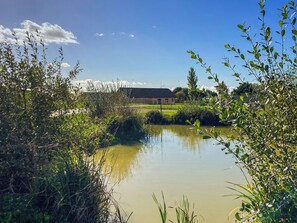 Property grounds - Bailgate Barn - UKC4646 (Dunholme, near Lincoln)