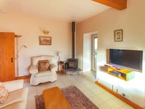 TV, fireplace - Greyfield Farm - Byre Cottage-UKC4671 (High Littleton)