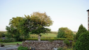 Un muro de piedra con un árbol en el centro, rodeado por un camino de grava y follaje.