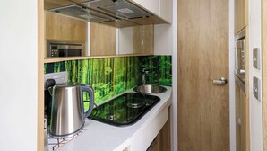 Una cuina senzilla amb una placa de cuina moderna, una tetera i un rentaplat.