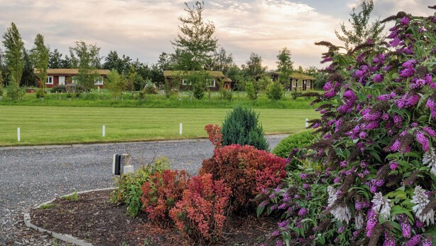 A well-maintained garden with various flowering plants and a neatly trimmed lawn. - Pheasant Lodge-W43009 (Brayton, Selby)