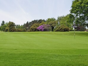 A golf course with a flagstick in the foreground and a variety of trees and shrubs in the background. - 3 bedroom accommodation in Brayton, Selby (Brayton, Selby)