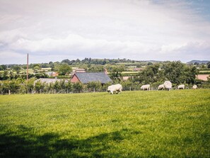 Un paysage rural avec un champ verdoyant, quelques moutons et, au loin, un bâtiment dont le toit est rouge.