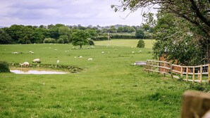 A rural landscape with a pond, sheep grazing, and a wooden fence.